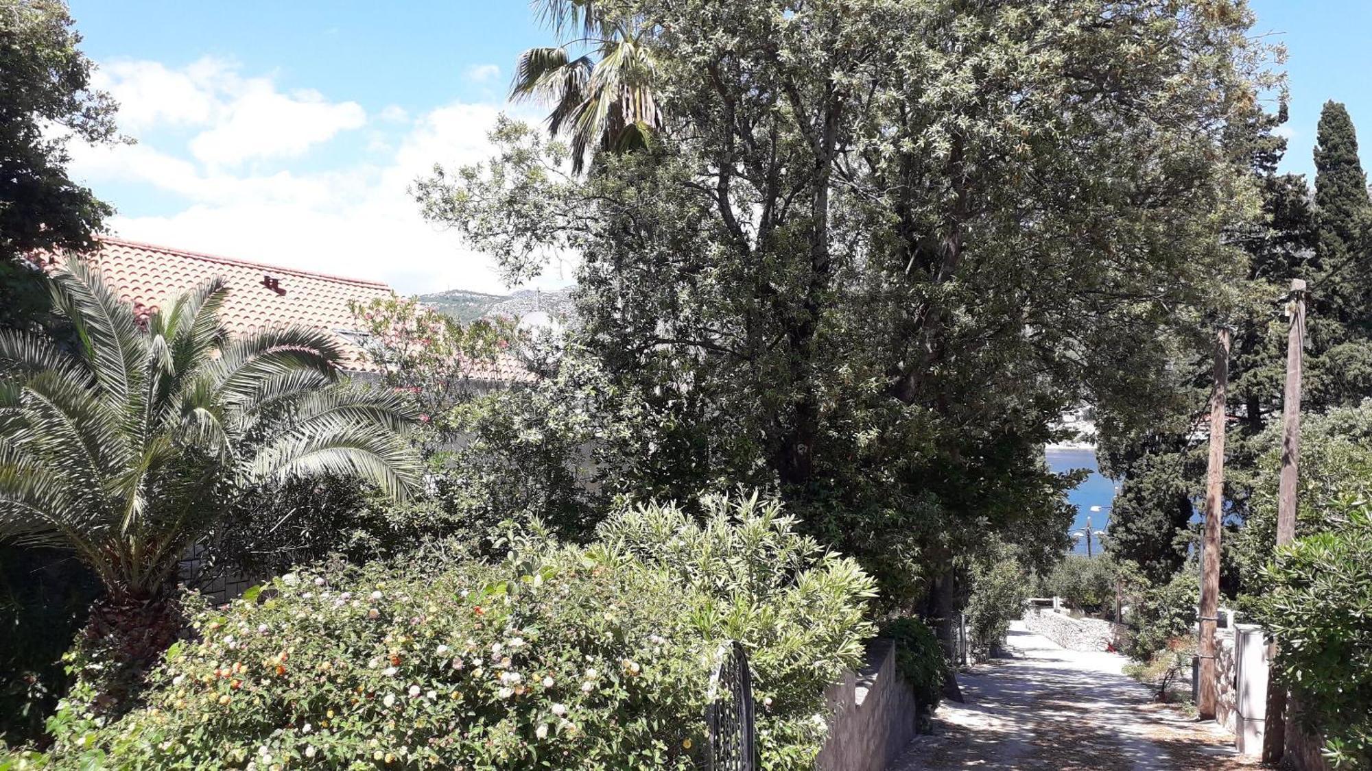 Apartments Marija - 50M From Beach Zaton  Exterior foto